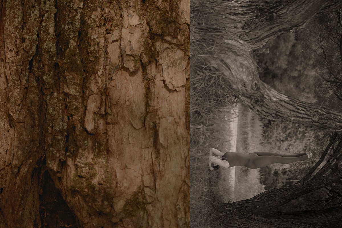 Yoga stories. Фотограф, оператор, режиссер монтажа в Москве Сюзанна Евсюкова