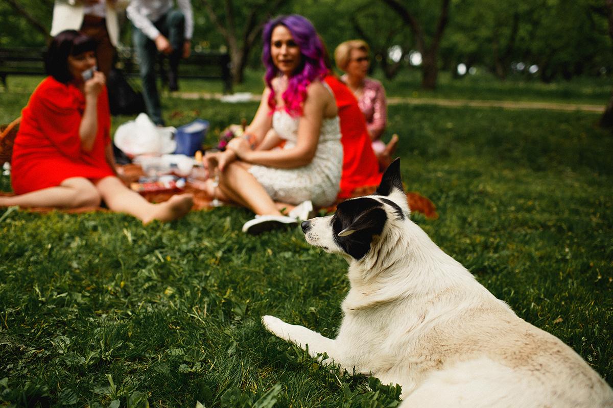 Сваадебный фотограф Москва. Свадебный фотограф в Москве и Балашихе