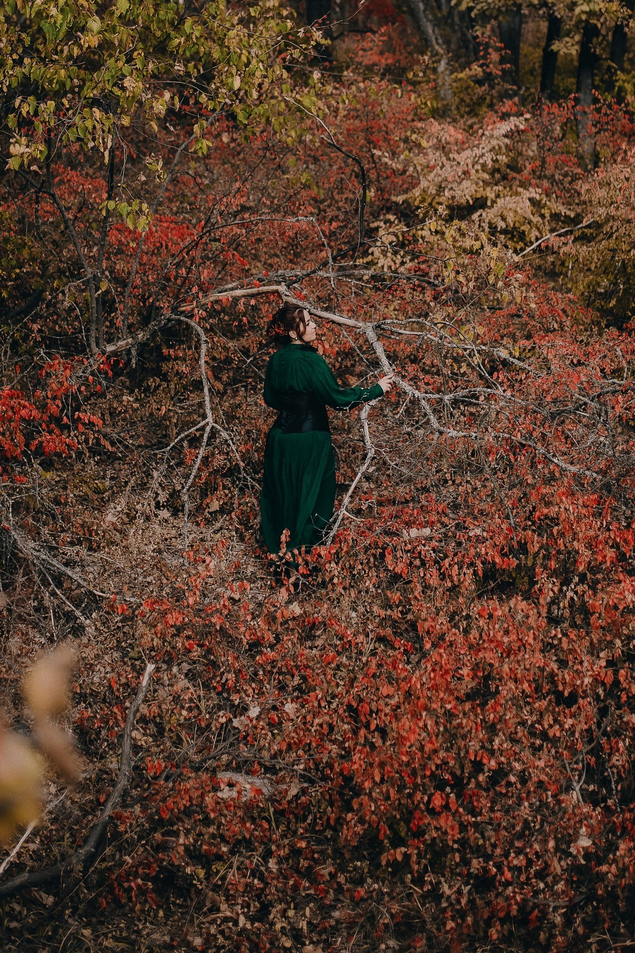 Отзывы. Портретный и свадебный фотограф в Воронеже Елена Михайлова