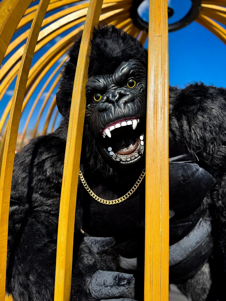 Эксперсс поздравление.ростовые куклы, медведь, панда, горилла. Организатор праздников. Ведущая Марина Гребенникова