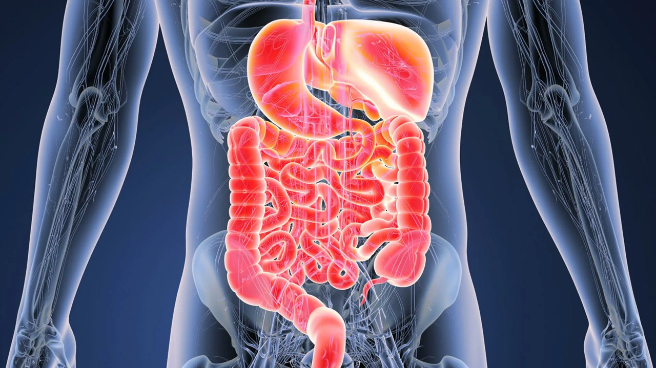 Готовые курсы приема продукции компании Сово-Сова. Сово-Сово — Омоложение и оздоровление!