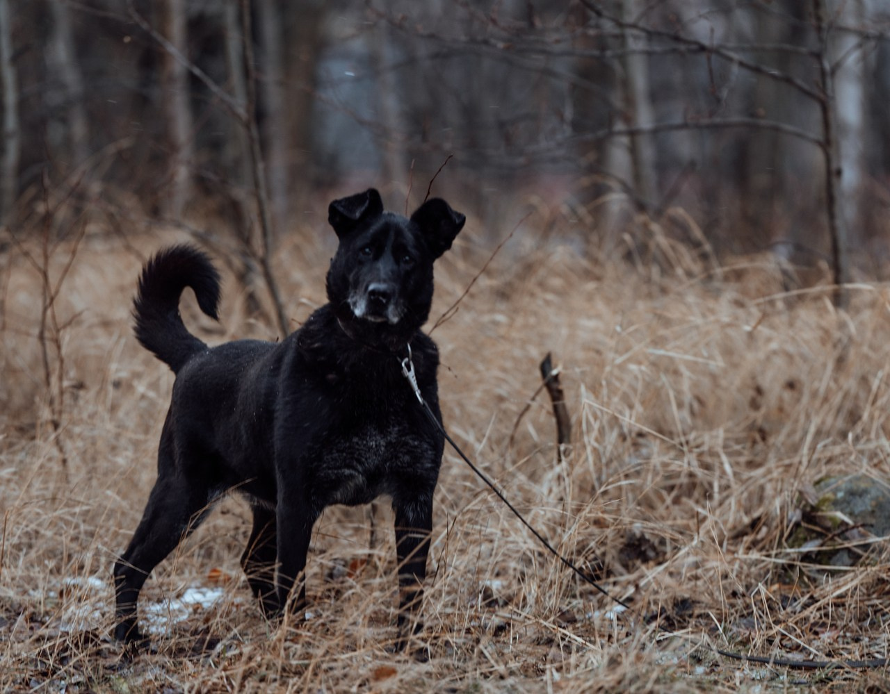 Отзывы. Фотограф Варвара Ермоленко