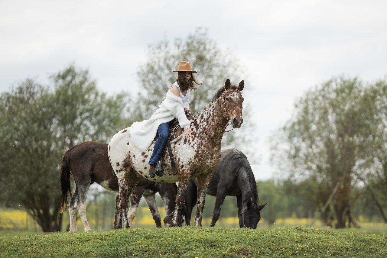 Отзывы. Фотограф-анималист Юлия Удовенко