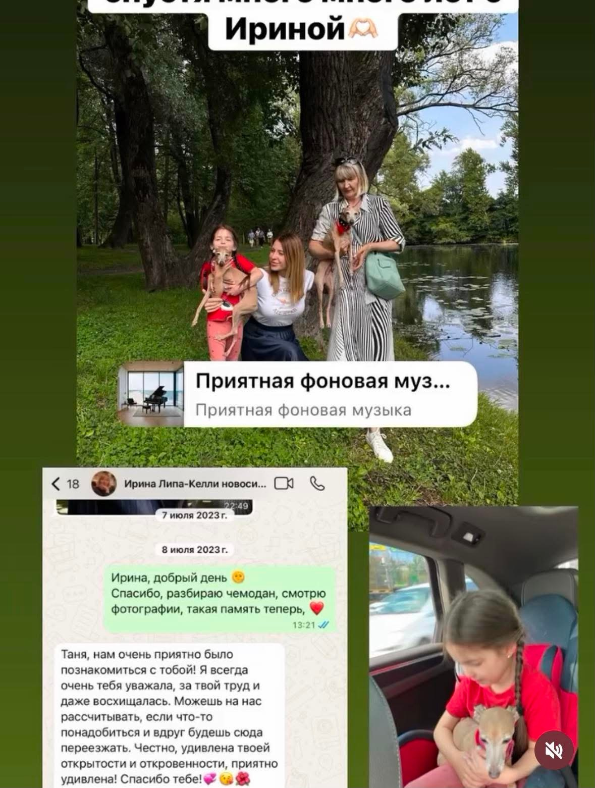 Наши ветераны-выпускники. Профессиональный питомник левреток РКФ/FCI ASTI SAPPHIRE 💎 Сочи|Санкт-Петербург