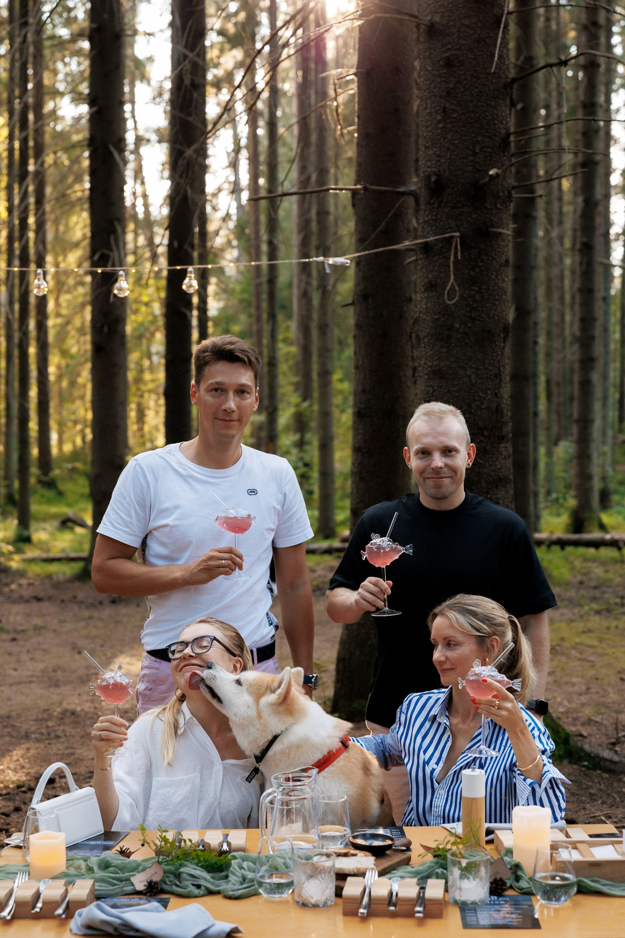 Forest Hill. Night2Day Санкт-Петербург