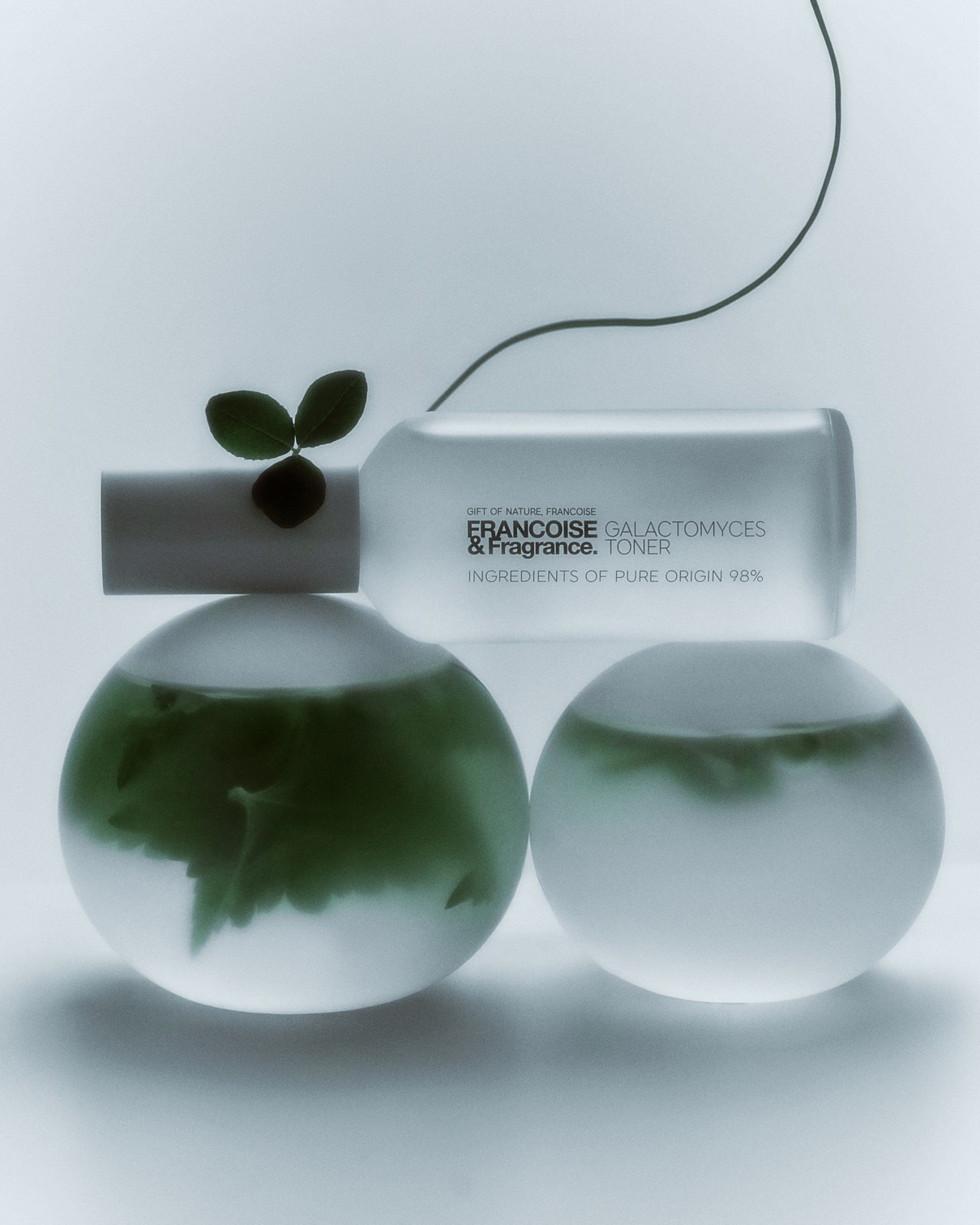 Francoise Fragrance. Фотограф Елена Вороха. Москва