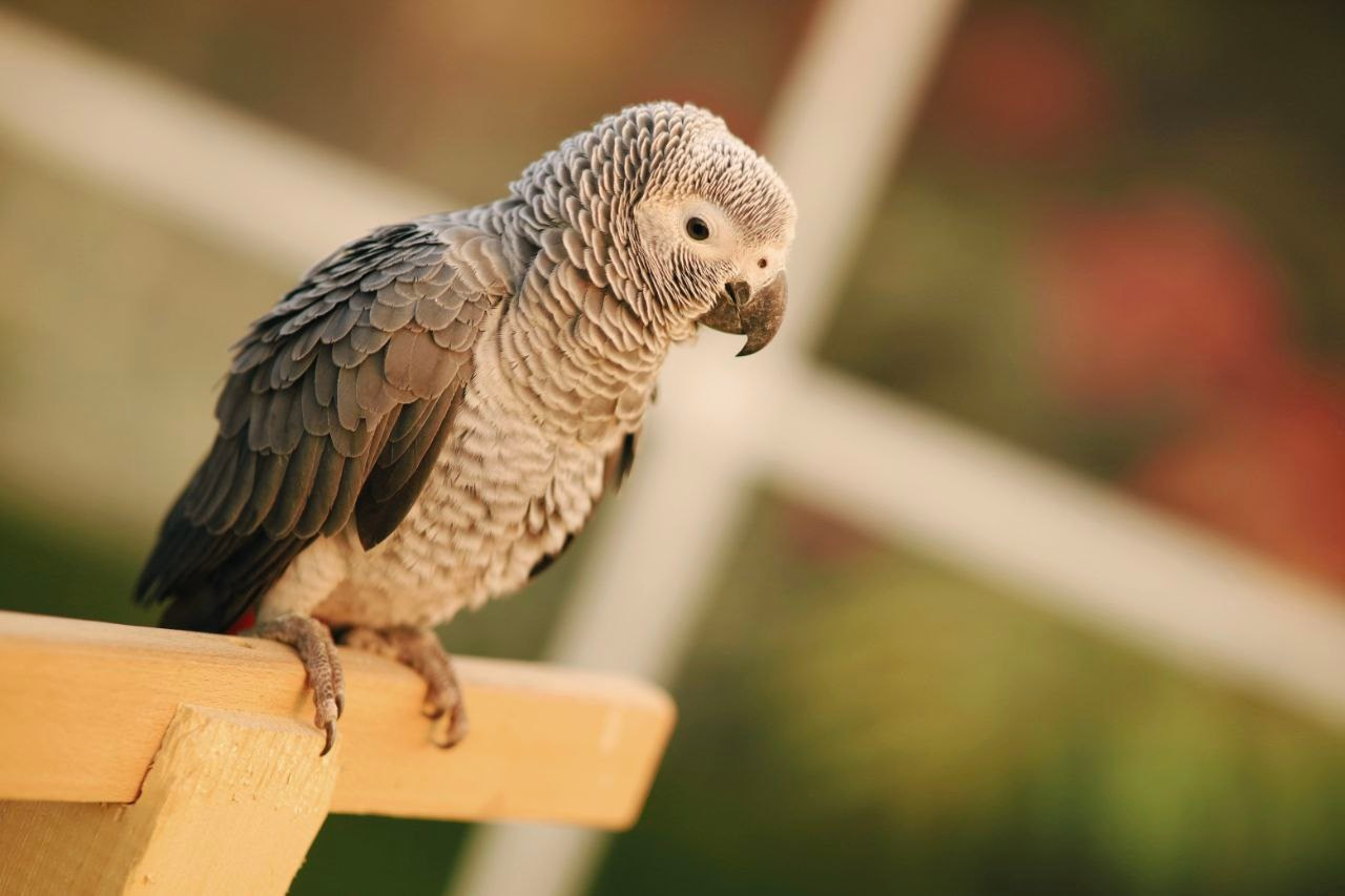 Эль-Джубайль. СА. 2025. Фотограф Михаил Олейник