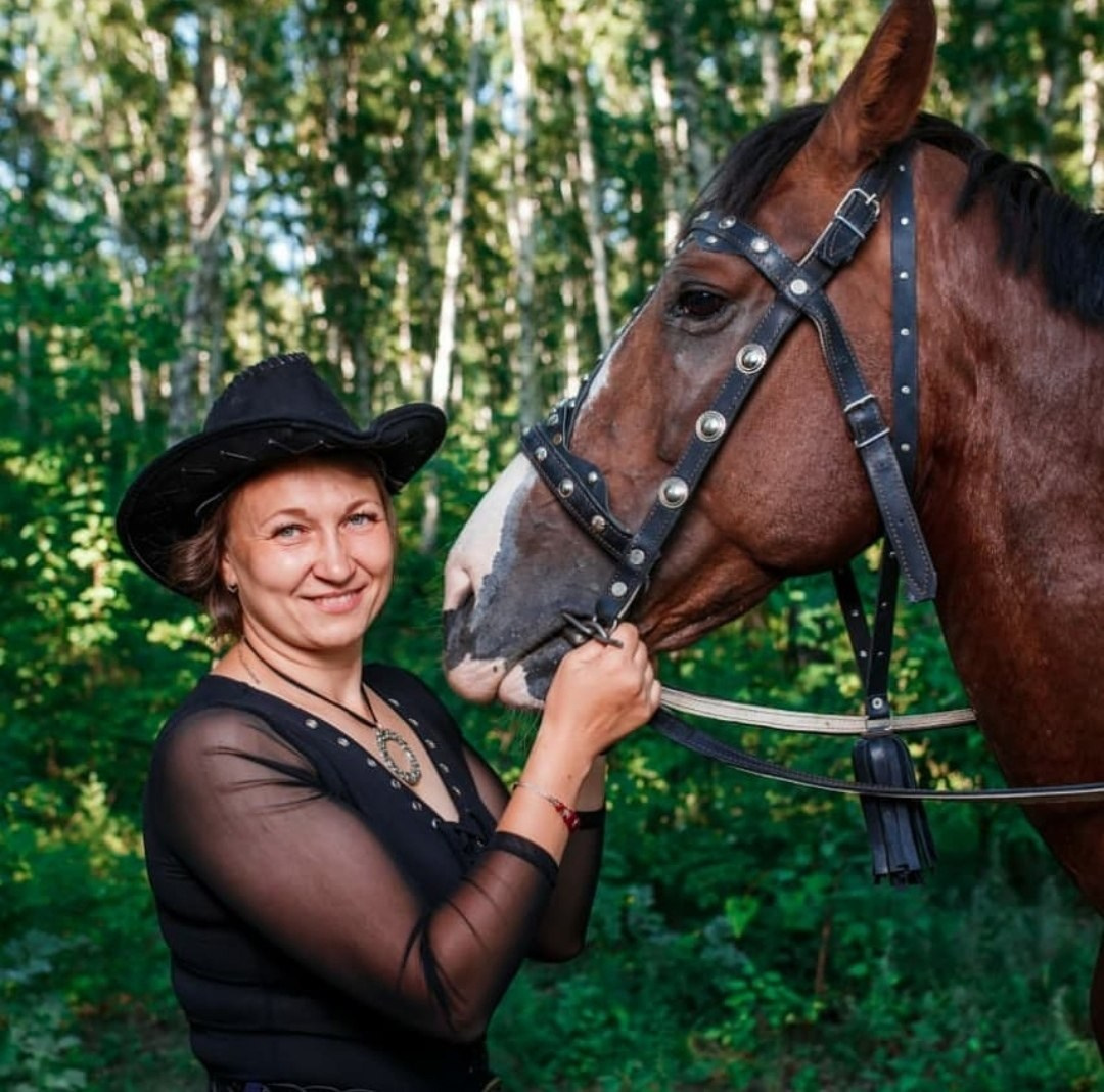 Фото наших лошадок. Конные прогулки в клубе «Анкор» — Омск