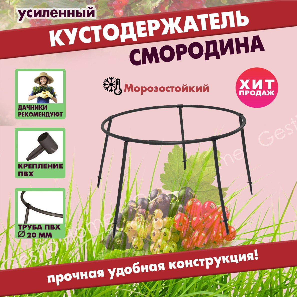 Инфографика для маркетплейсов. Семейный и детский фотограф Александра Кор. Москва