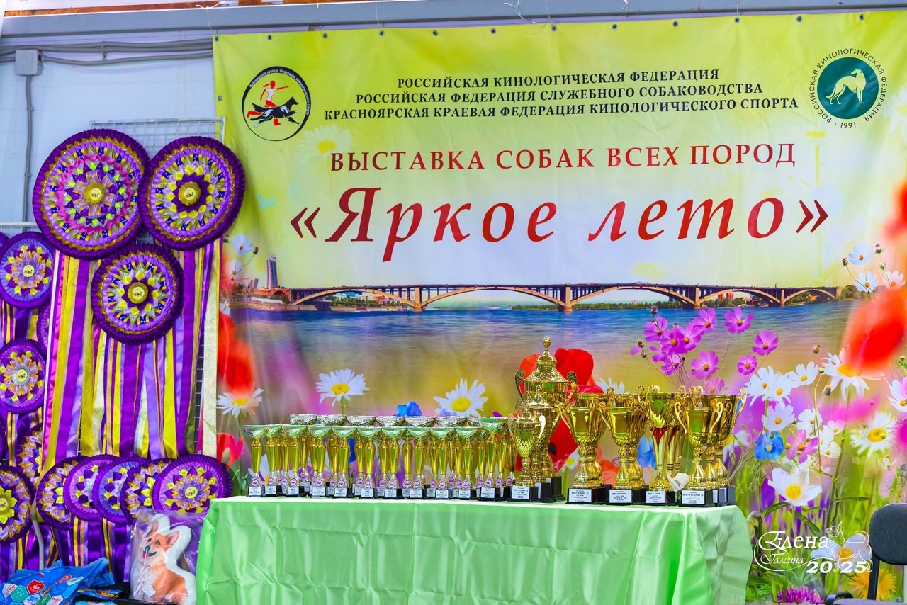 Отзывы. Фотограф анималист Елена Галдина г. Красноярск