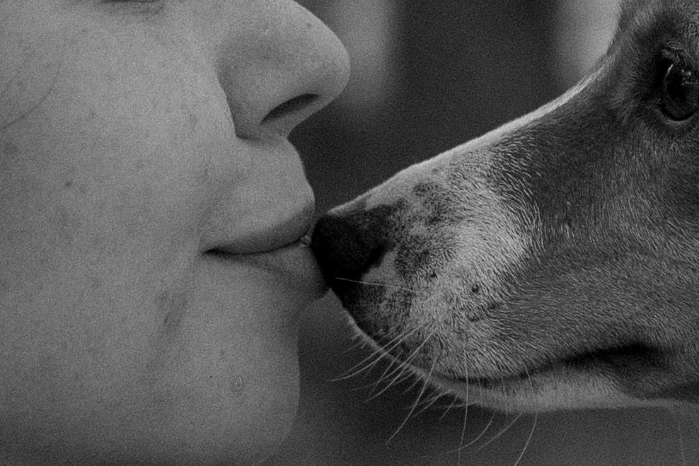 Алиса и Лео. Фотограф — Анималист | Санкт-Петербург