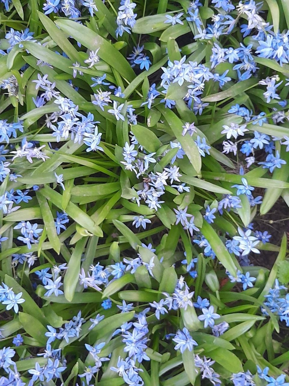 Пасха 2025. Собор Отрасли