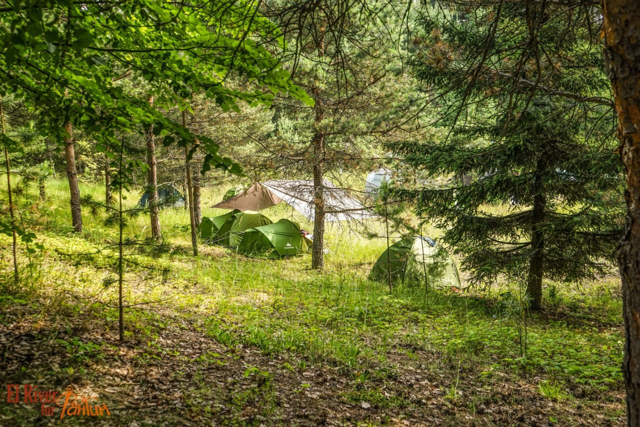 Походная романтика 18! Дети цветов | 01-03.07.2016. Галерея Фантим