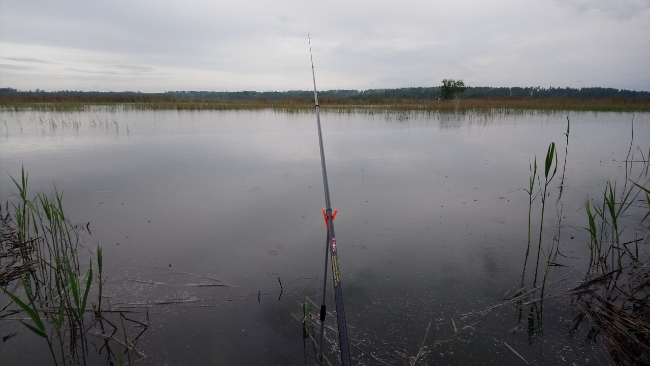 Ваши летние фотки | 2018. Галерея Фантим