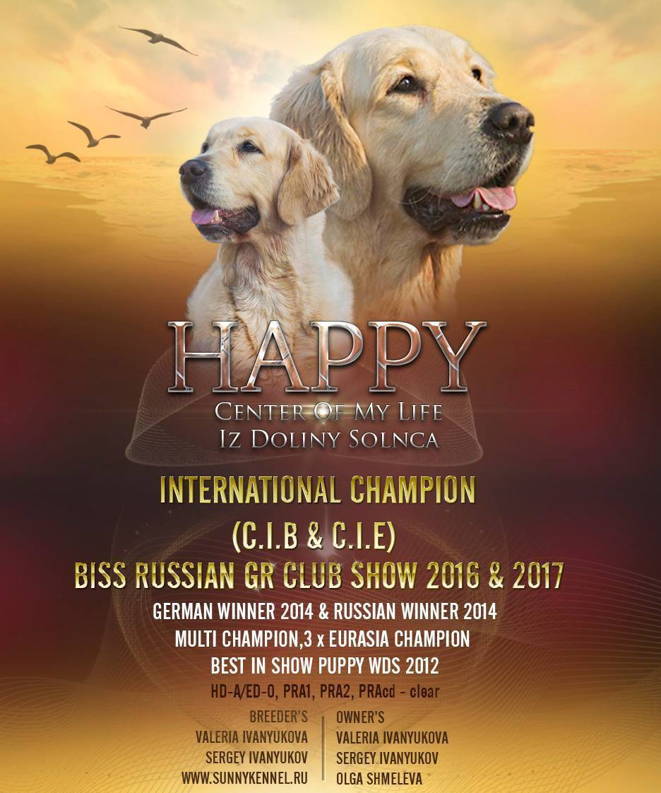 Презентации / реклама. Фотограф — анималист в Санкт — Петербурге Анна Орис