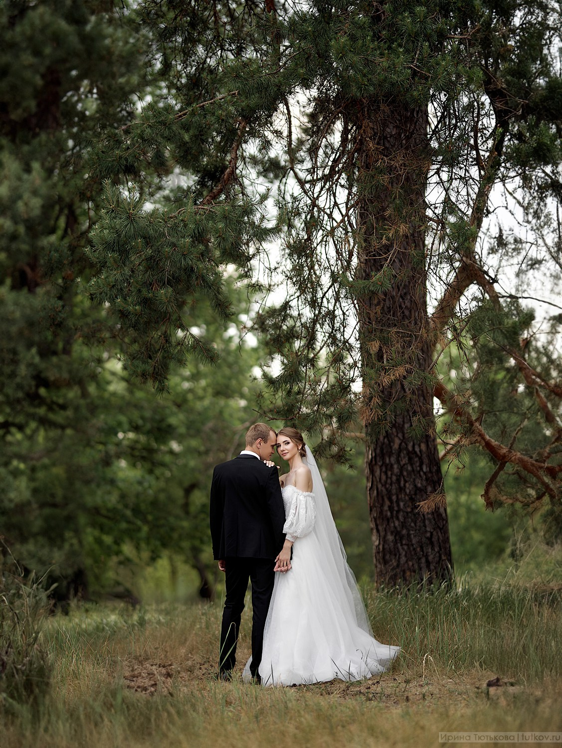 Яна и Костя. Свадебная фотосъёмка в Брянске | Влад и Ирина Тютьковы