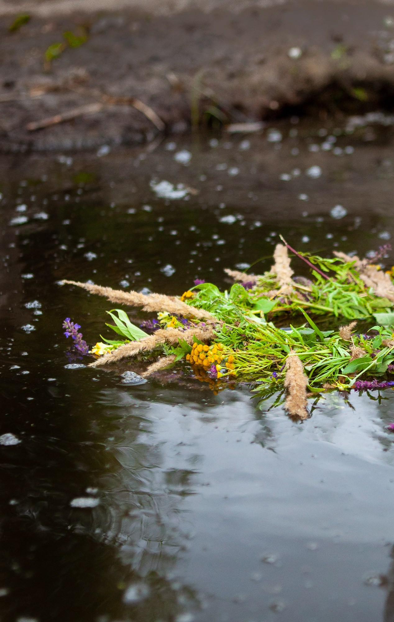 Русская красавица. Фотограф Анастасия Лёвушкина