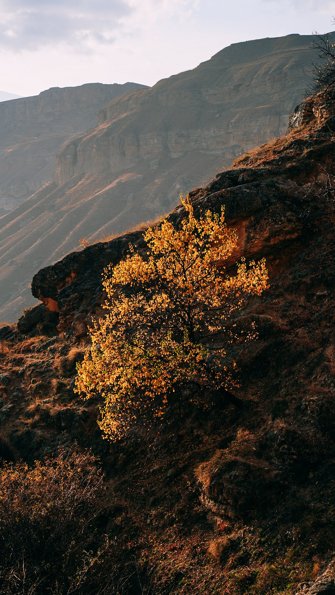 Дагестан 2023. Человек с фотокамерой