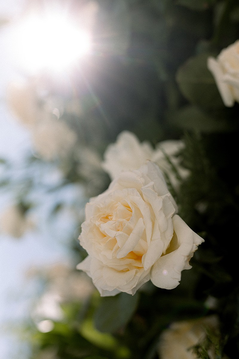 Кристина+Дмитрий. Фотограф в Красноярске Гетманова Мила