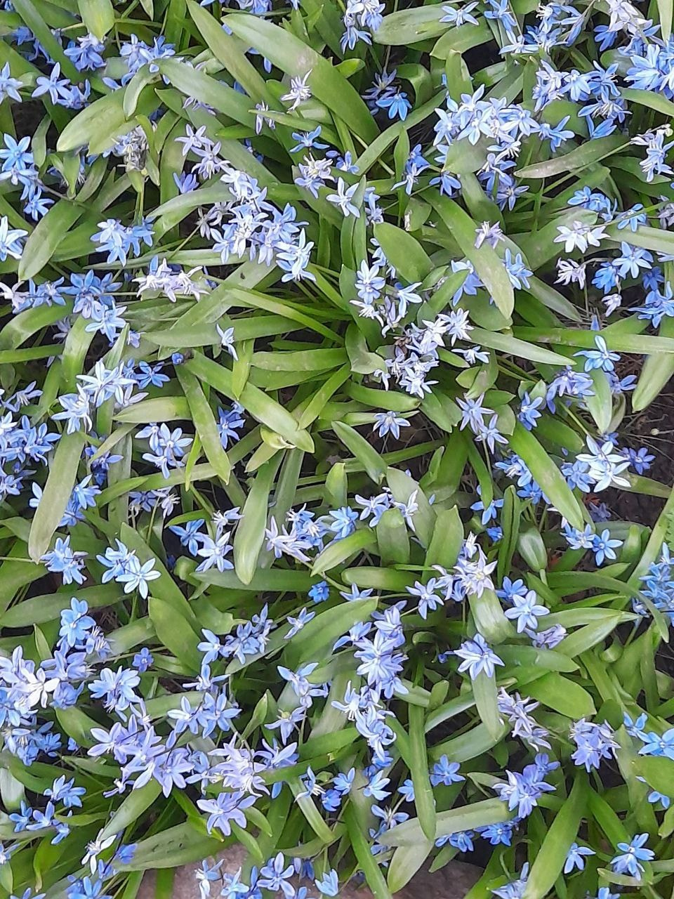 Пасха 2025. Собор Отрасли