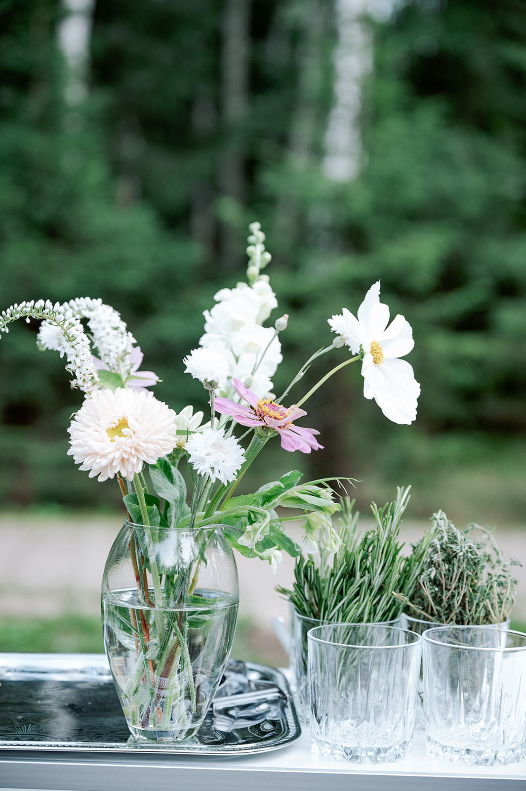 Анатолий и Наталья. Организация и координация свадебных и семейных торжеств