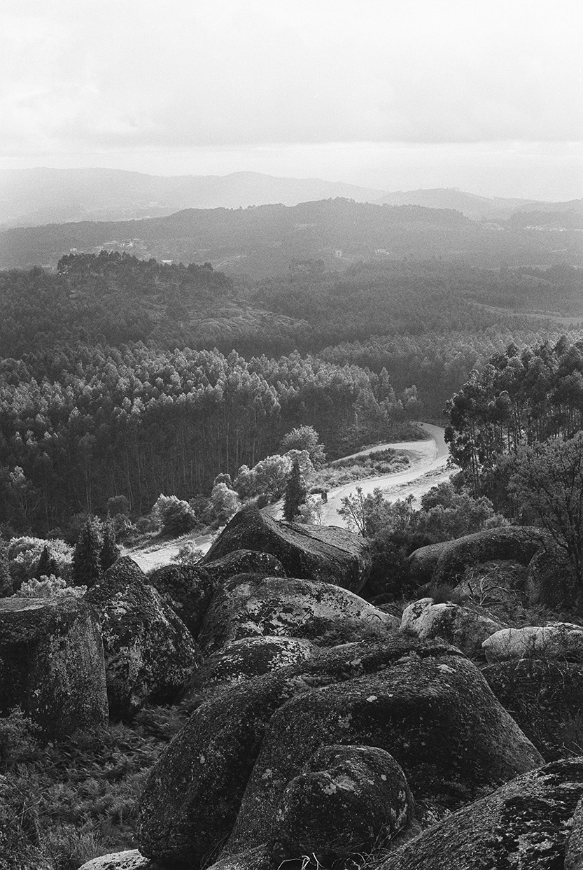 Fine art. Katya Zimina, film photographer