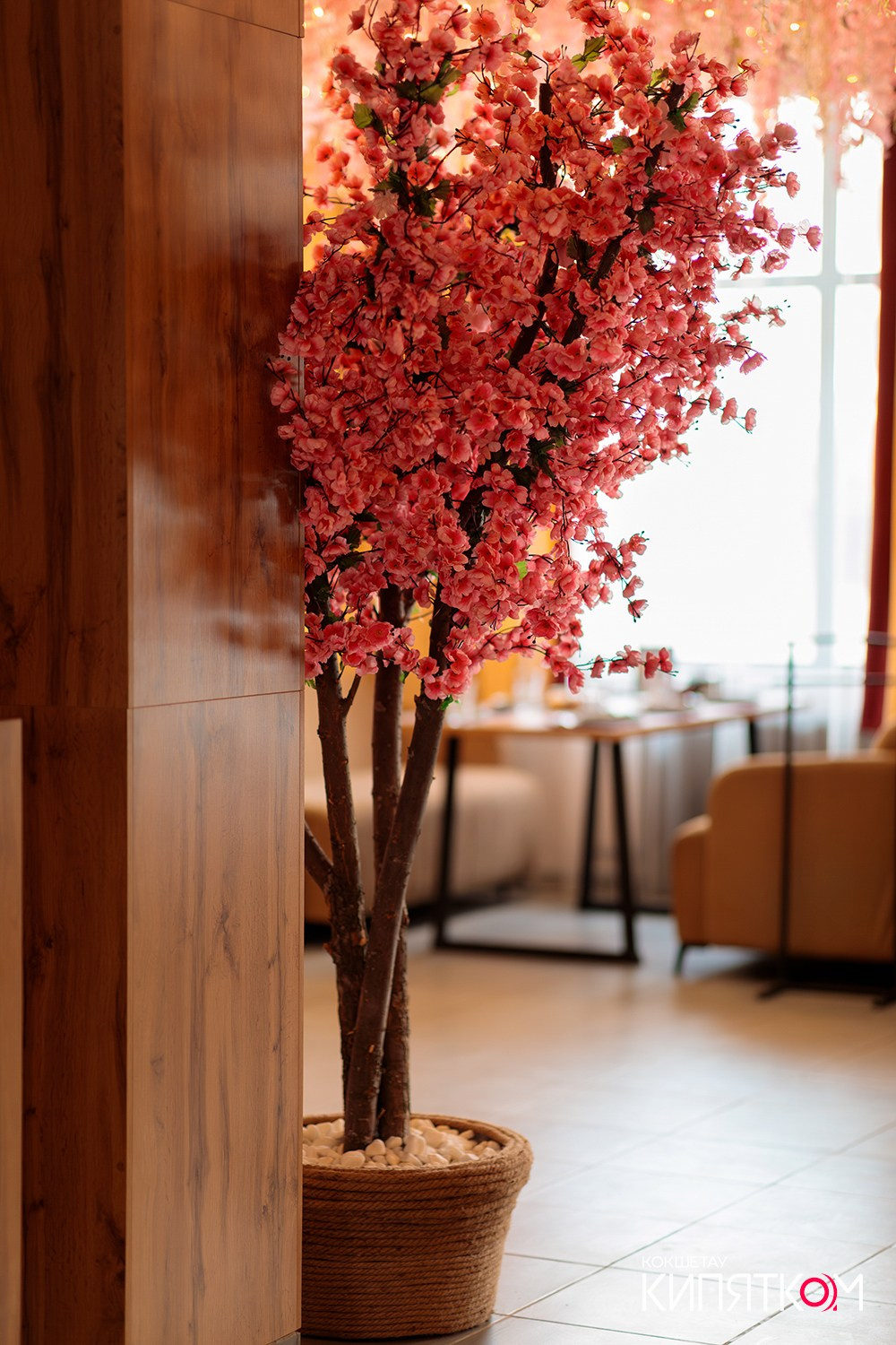 HANAMI ОТКРЫТИЕ. КИПЯТКОМ КОКШЕТАУ