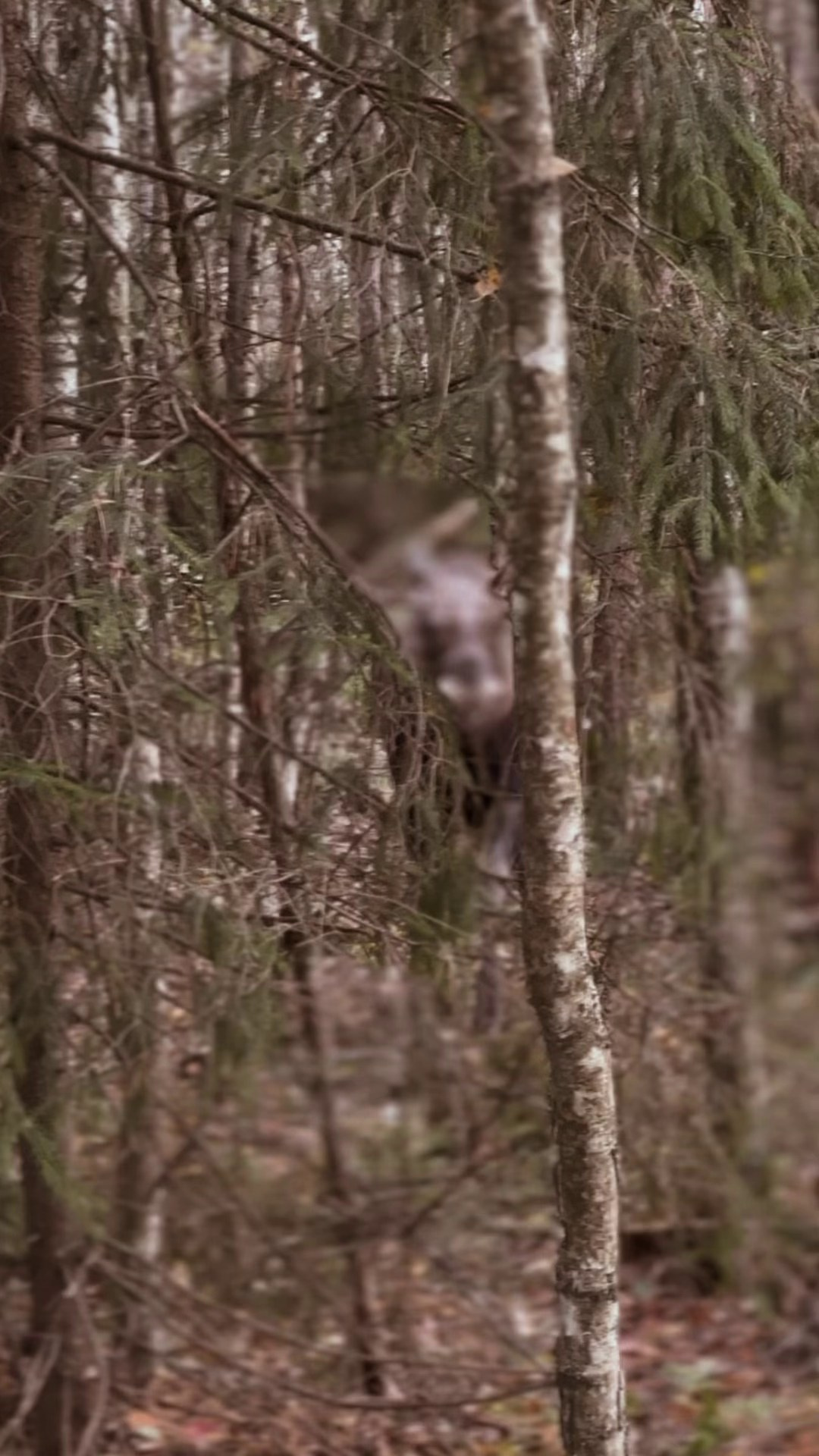 Русский стиль — индивидуальный пошив. Русская и славянская одежда. Современна русская одежда