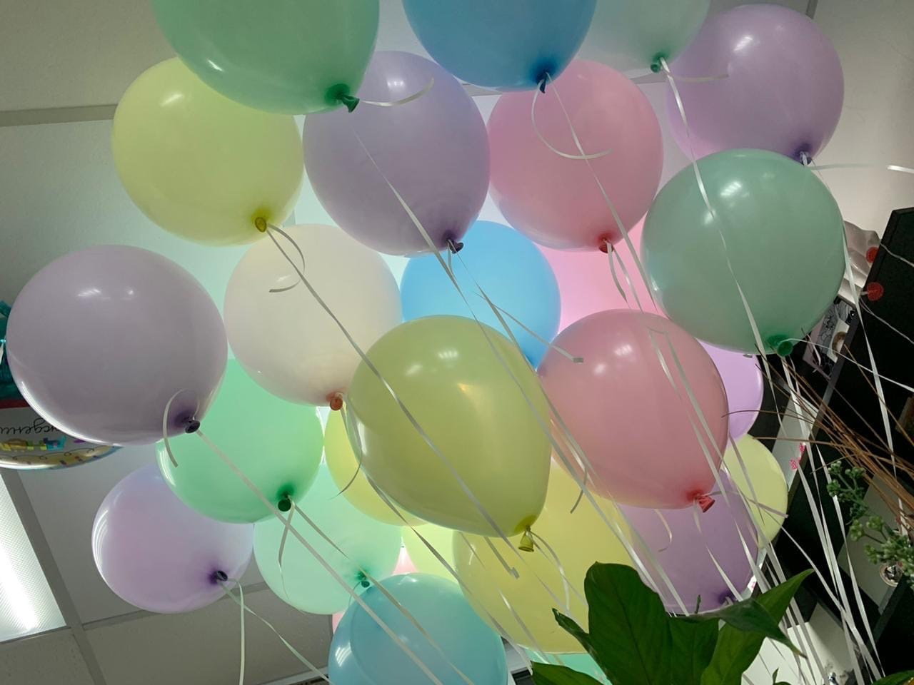 Шары. Главная