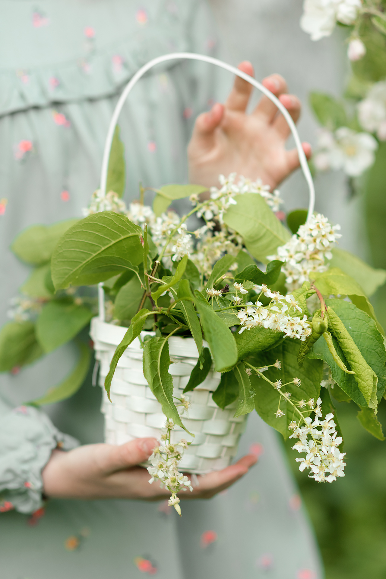 Фотосессия в цветении в Санкт-Петербурге. Фотограф Юлия Кондратьева