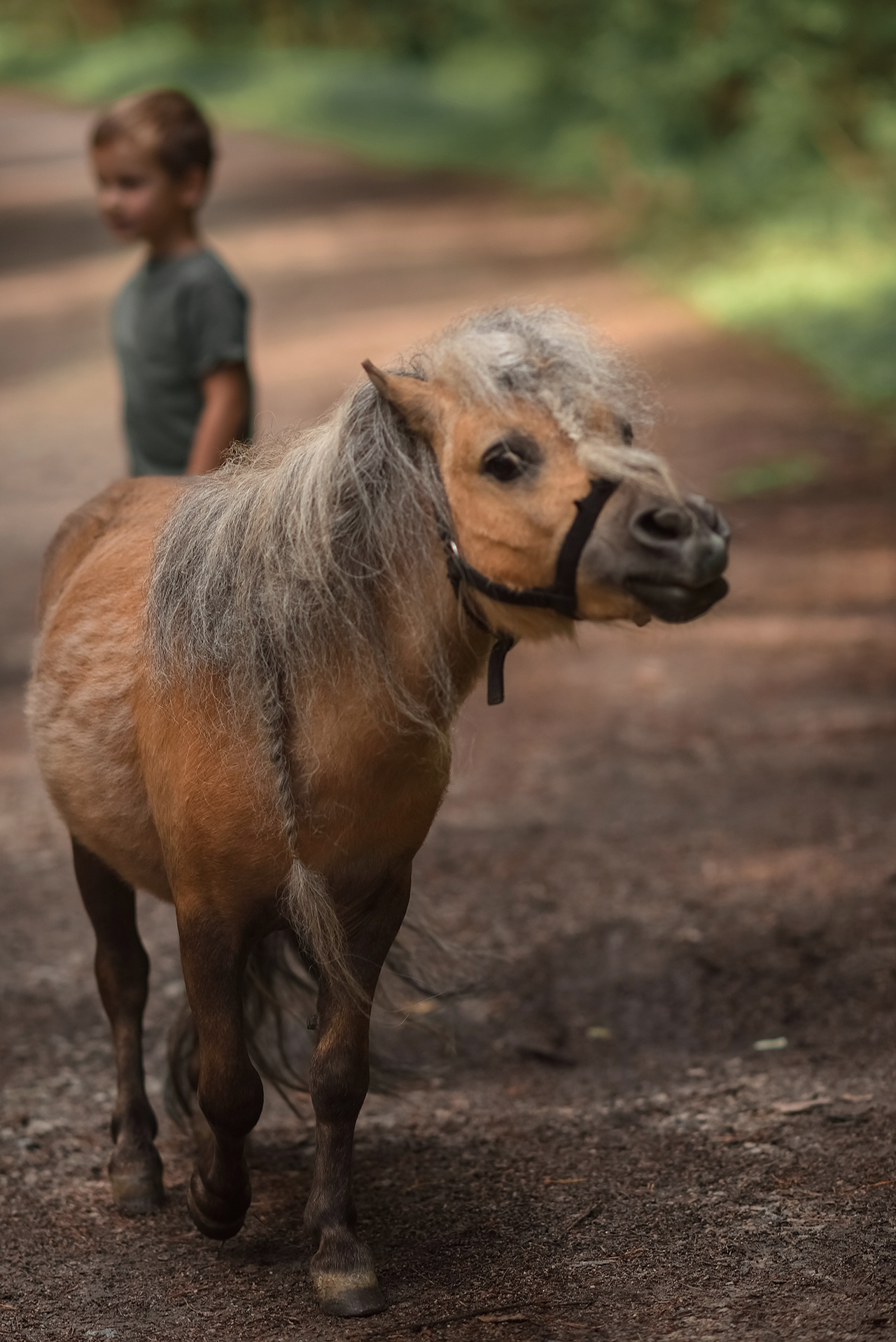 Повторить фотографию известного фотографа. Фотограф Юлия Кондратьева