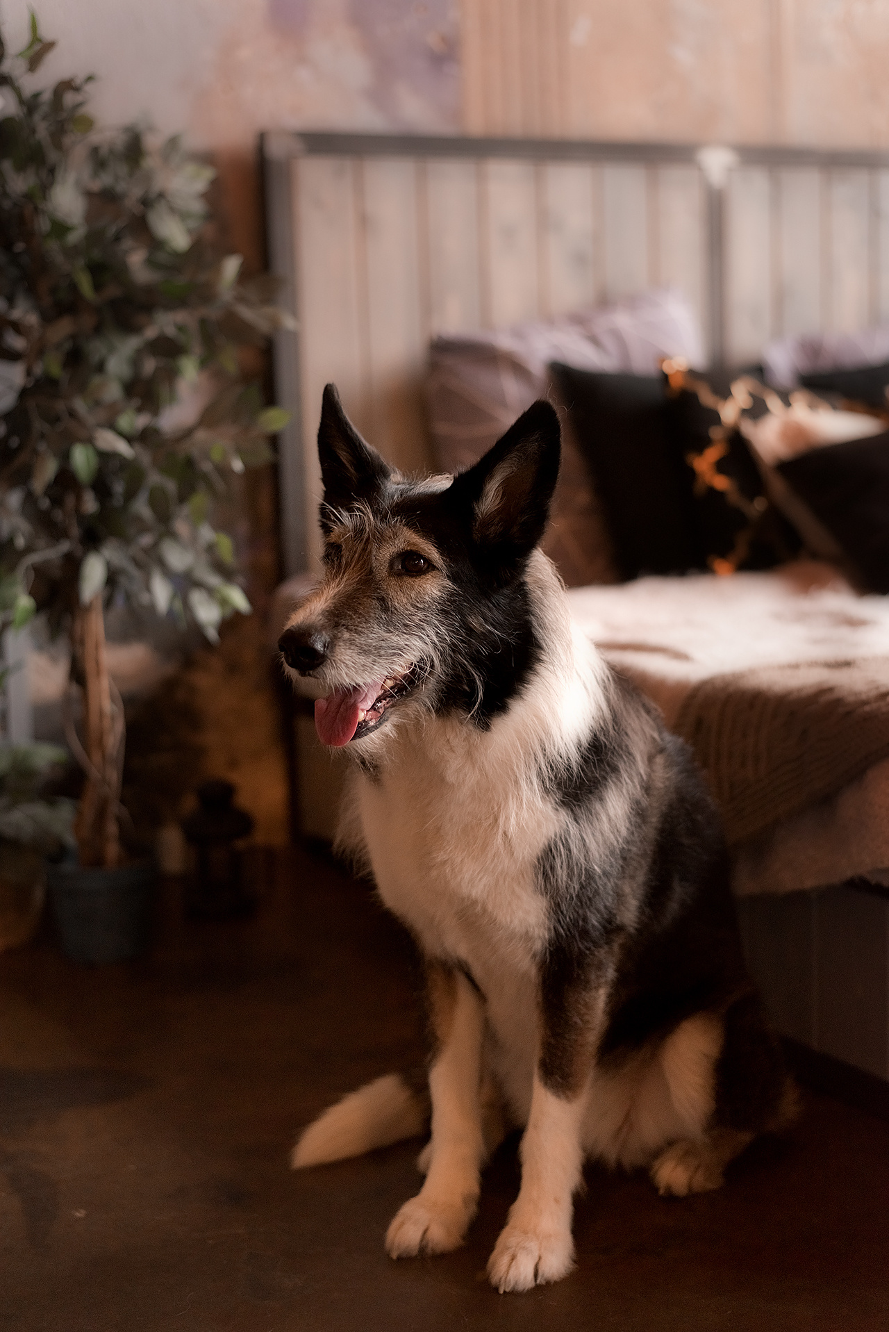 Фотосессия беременности и семейная фотосессия. Фотограф Юлия Кондратьева