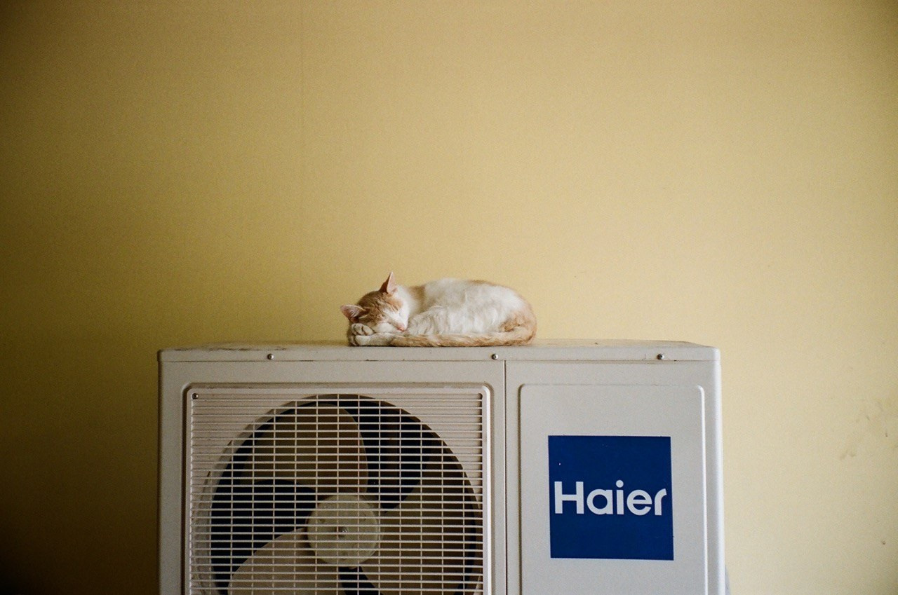 Всякие картинки