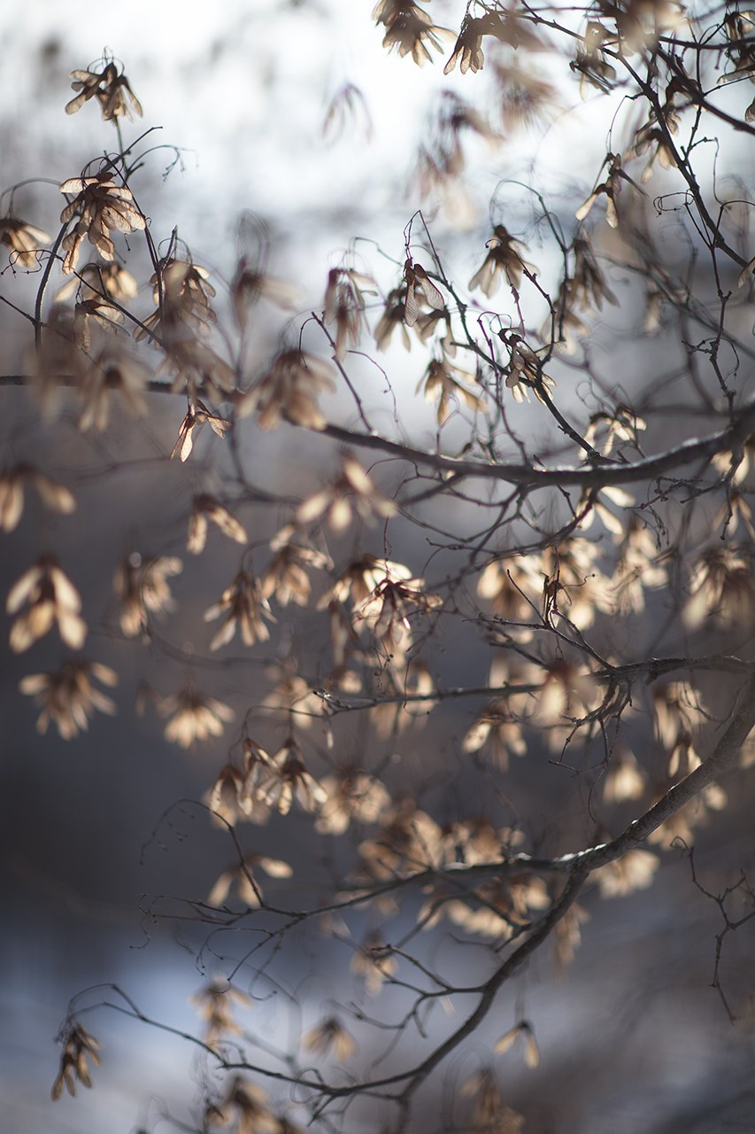 СЕМЬЯ / ДЕТИ. Детский и семейный фотограф в Тамбове Марина Смаль