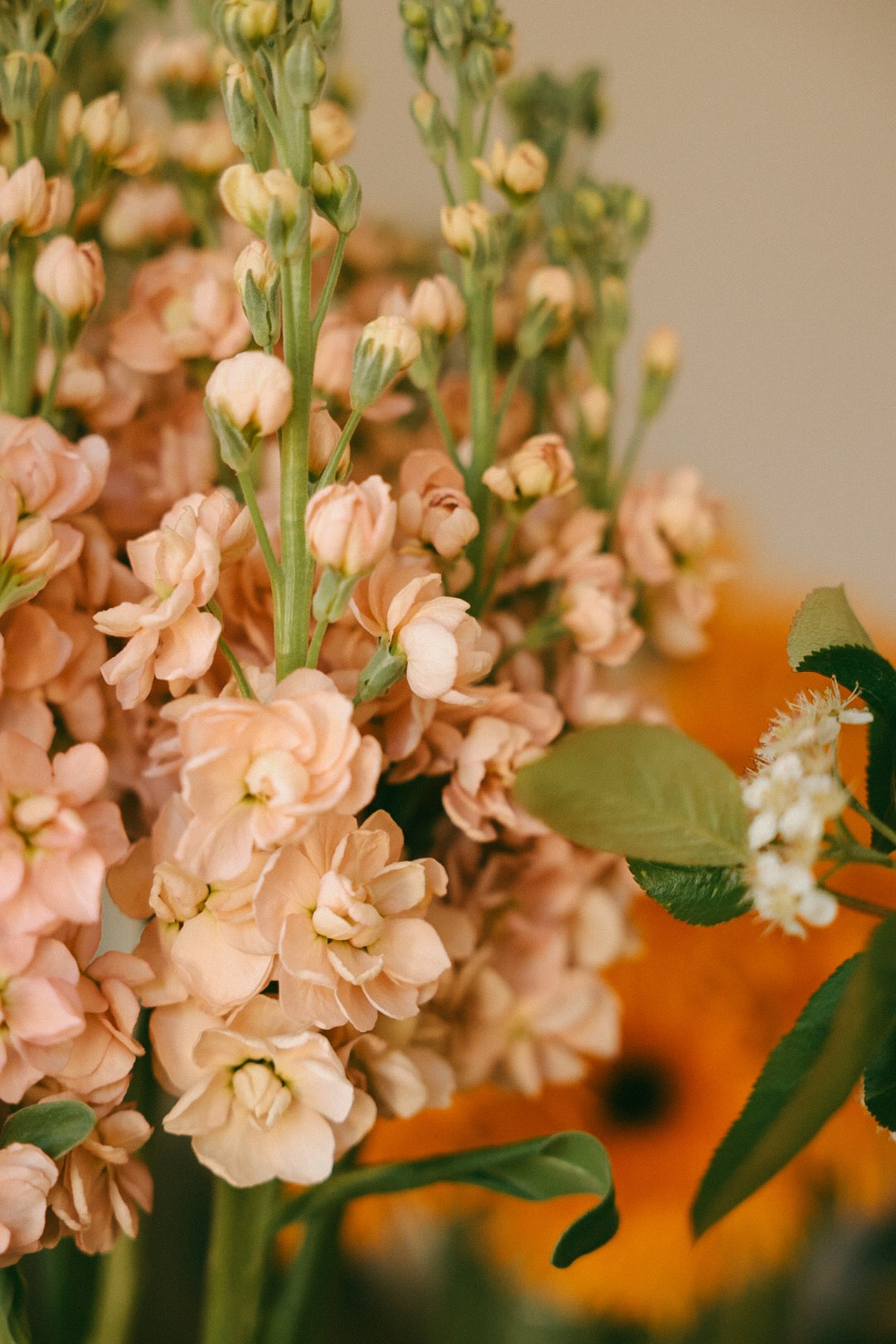 It’s a BOY 💙. Фотограф Нижний Новгород