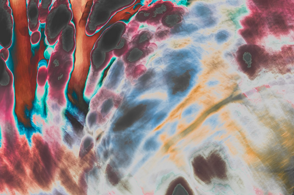 Magic forest. ПЕТР ПОПОВ | VISUAL ARTIST