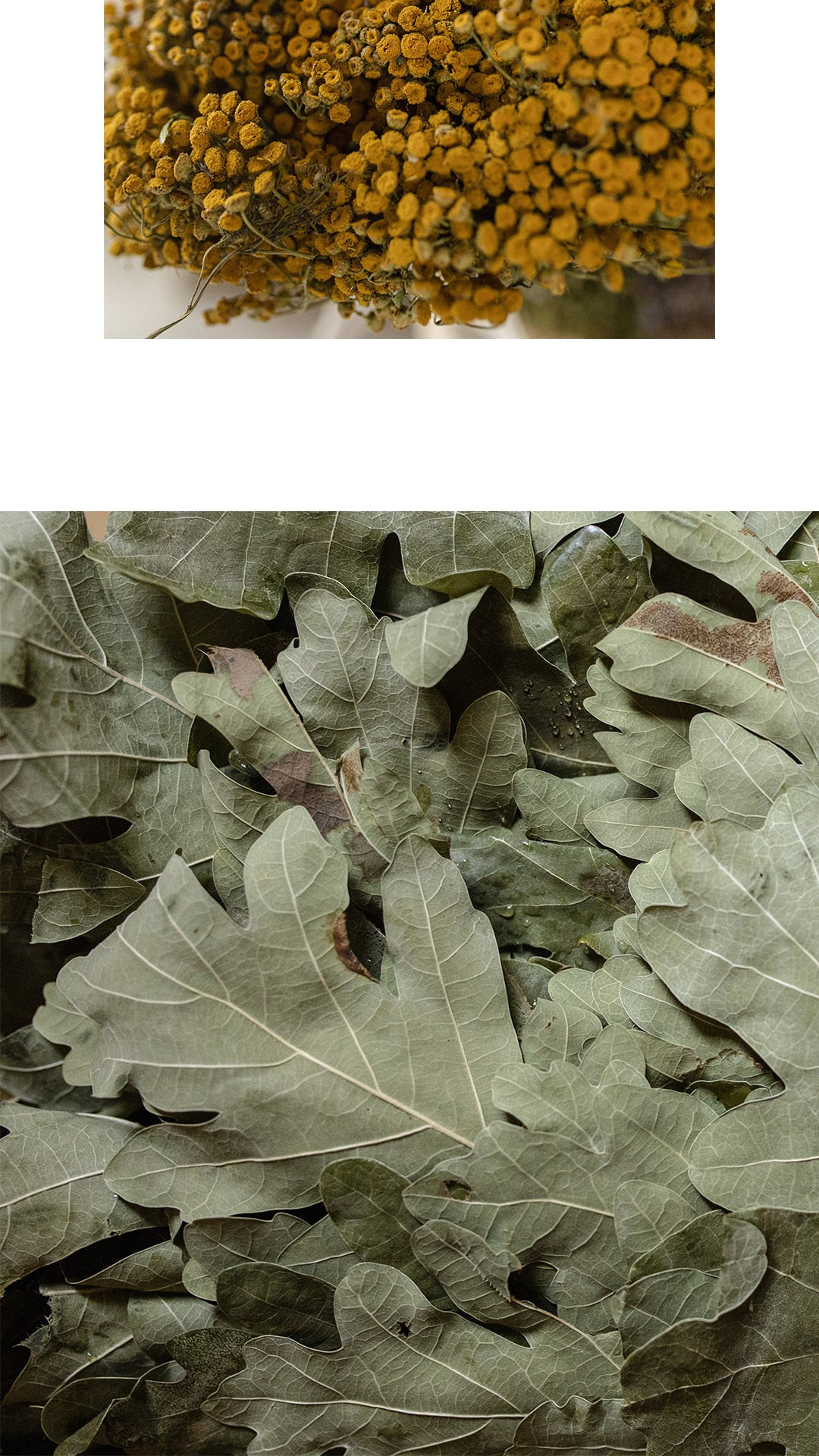 «Голос тела» Виктория Лайнер. Ольга Пилант. АРТ, бэкстейдж, свадебная и семейная фотография, городской портрет, интерьерная фотография