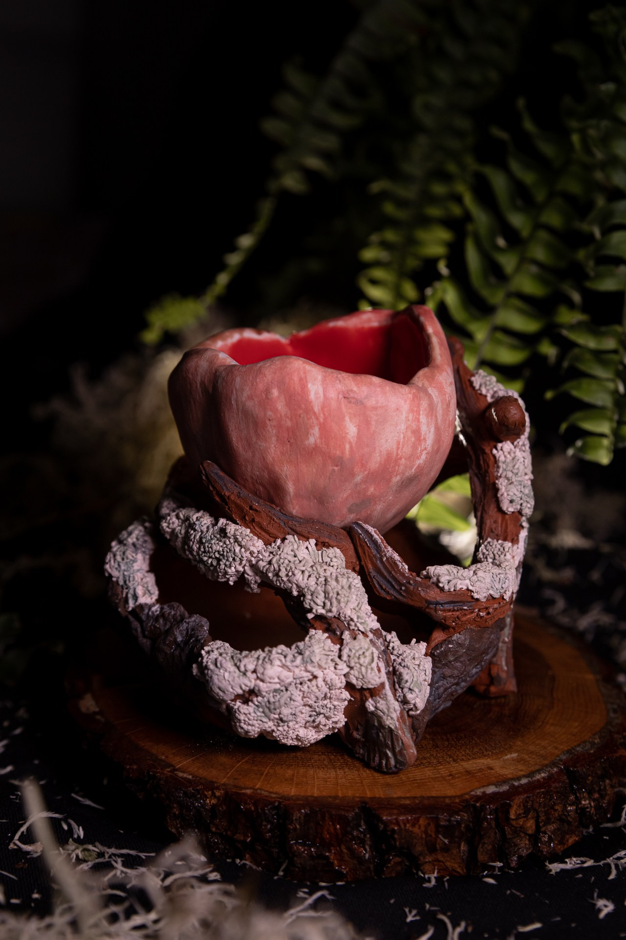 Горшок «Саркосцифа»  НЕТ В НАЛИЧИИ. Катя Цвет