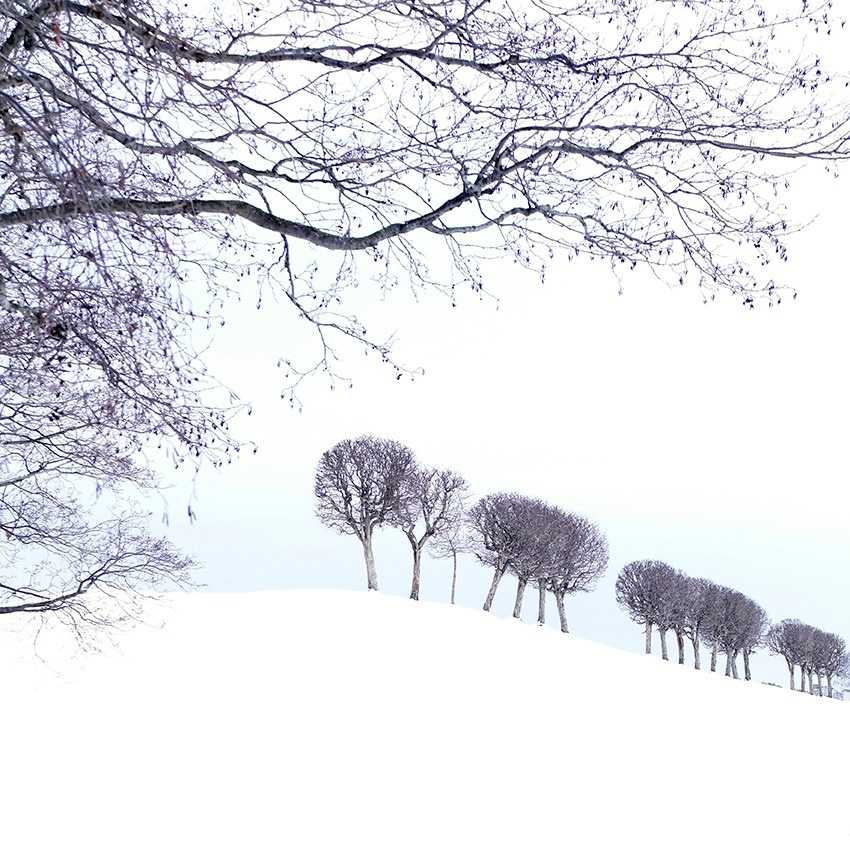 Peterhof. Vasiliy Riabovol — Fine Art Photographer | Time, Space, and Silence