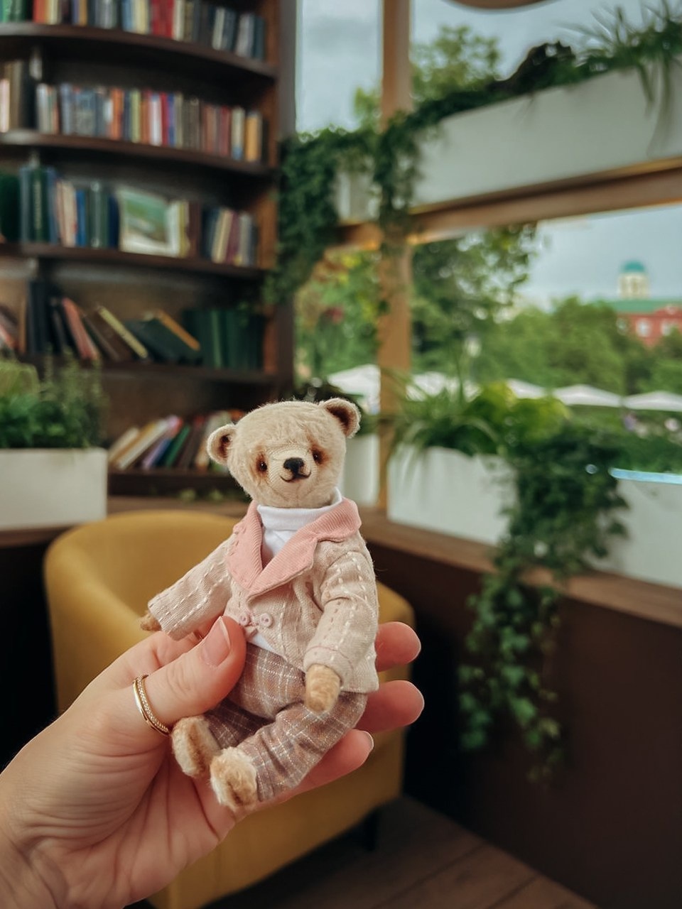 Тедди. Фотограф Ольга Сальманович