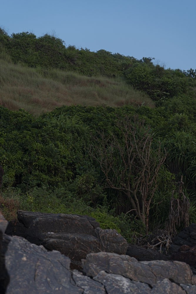 Индия. Alena Ahmadullina