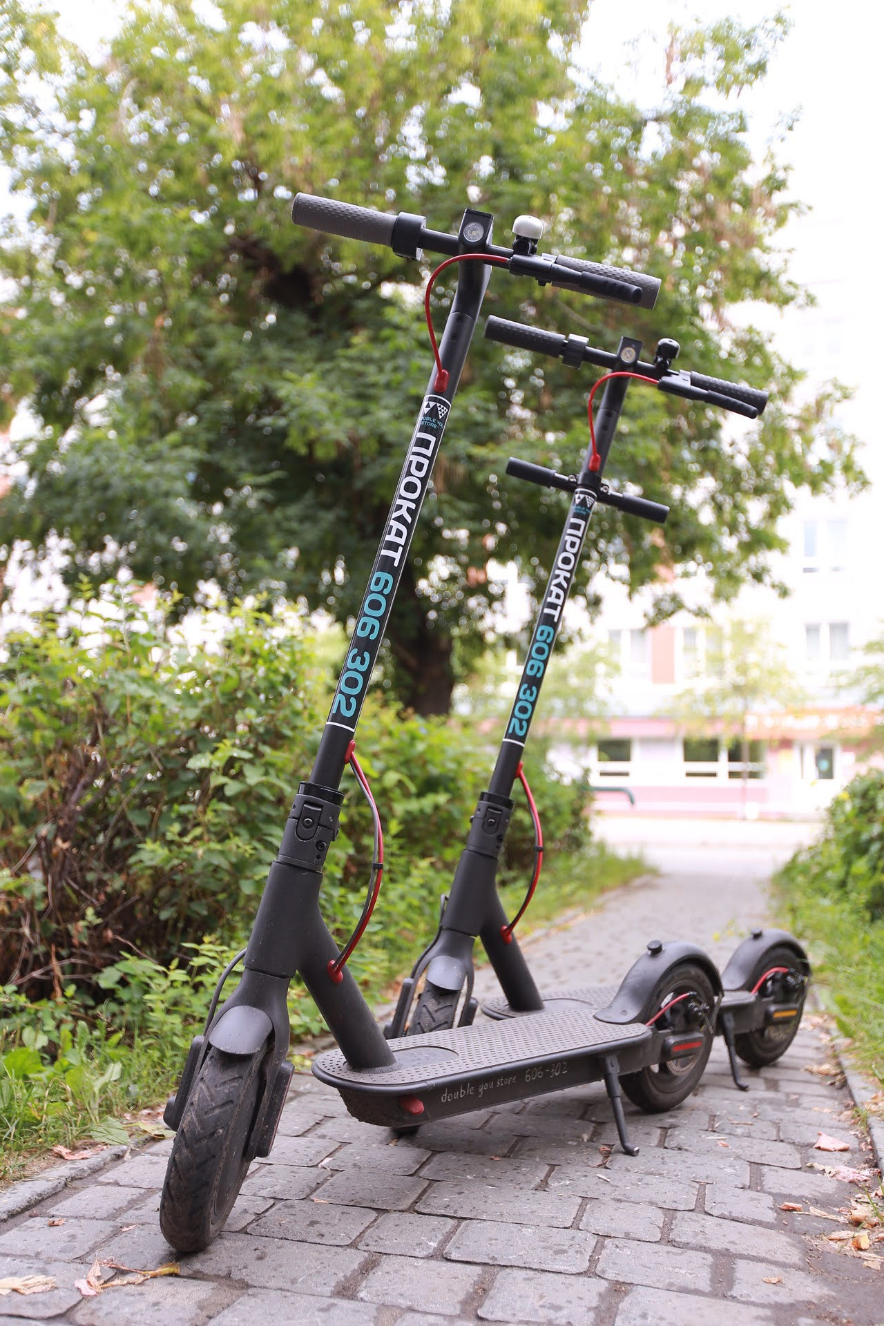 Магазин техники. Фотограф в Барнауле Ирина Чикалова