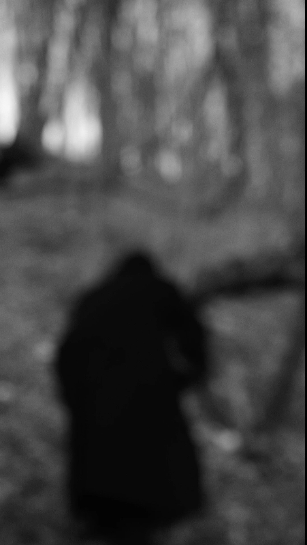 Ничего не было видно и приходилось прислушиваться. Художественная группа «Нежные Бабы»