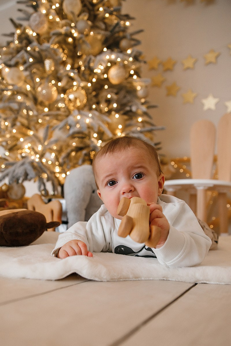 Зимняя фотосессия в студии. Фотограф Олеся Жомер