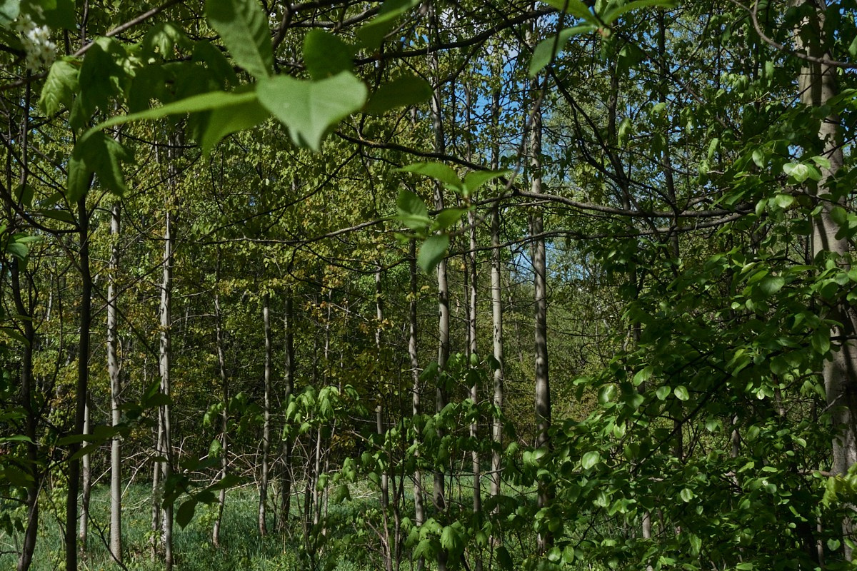Хорошо голову не потерял. Иван Кобяков
