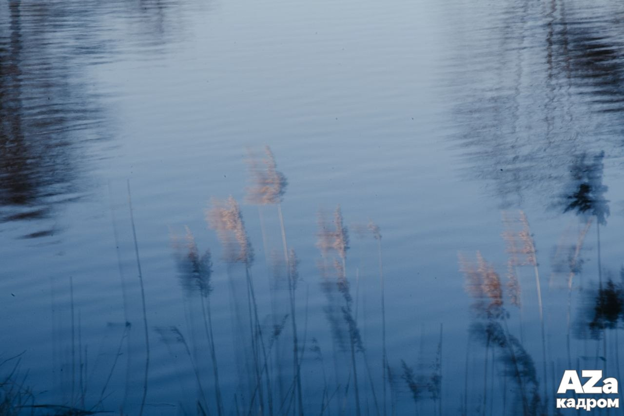 AZакадром Импрессинизм. Женский семейный фотограф Тула Москва Захарова Анна