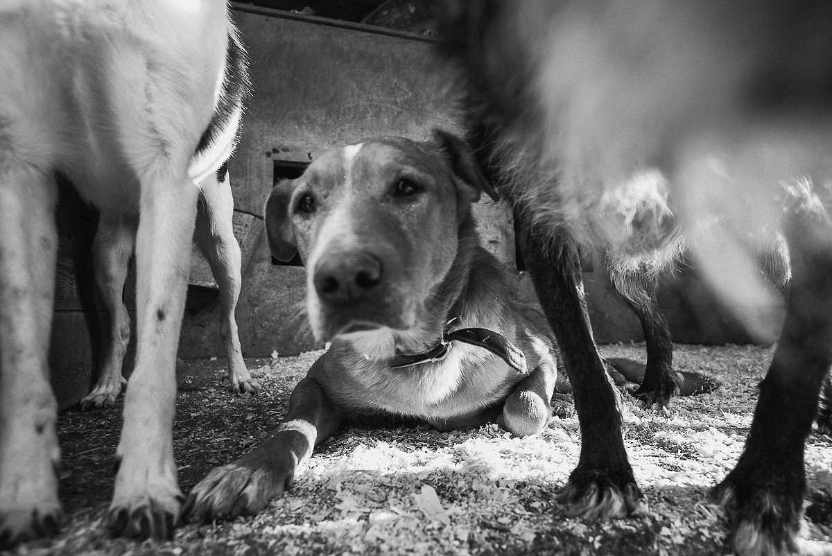 Синдром ожидания. Промышленная и репортажная фотография