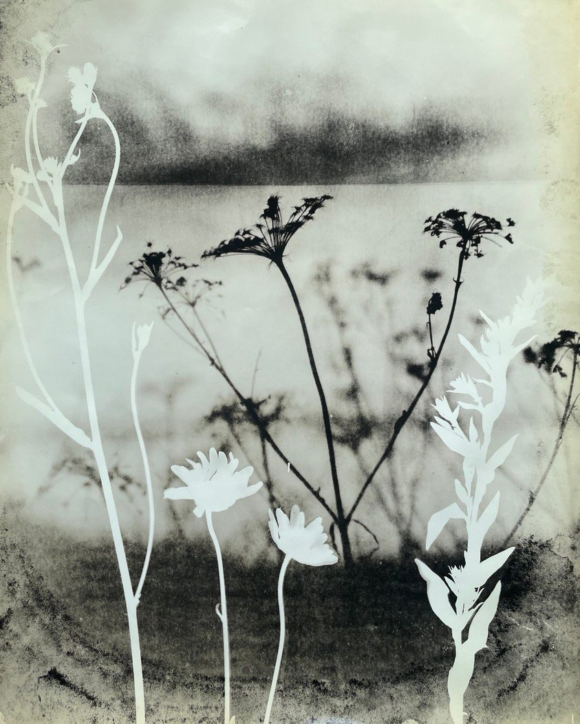 Lith prints. Darkroom aesthetics