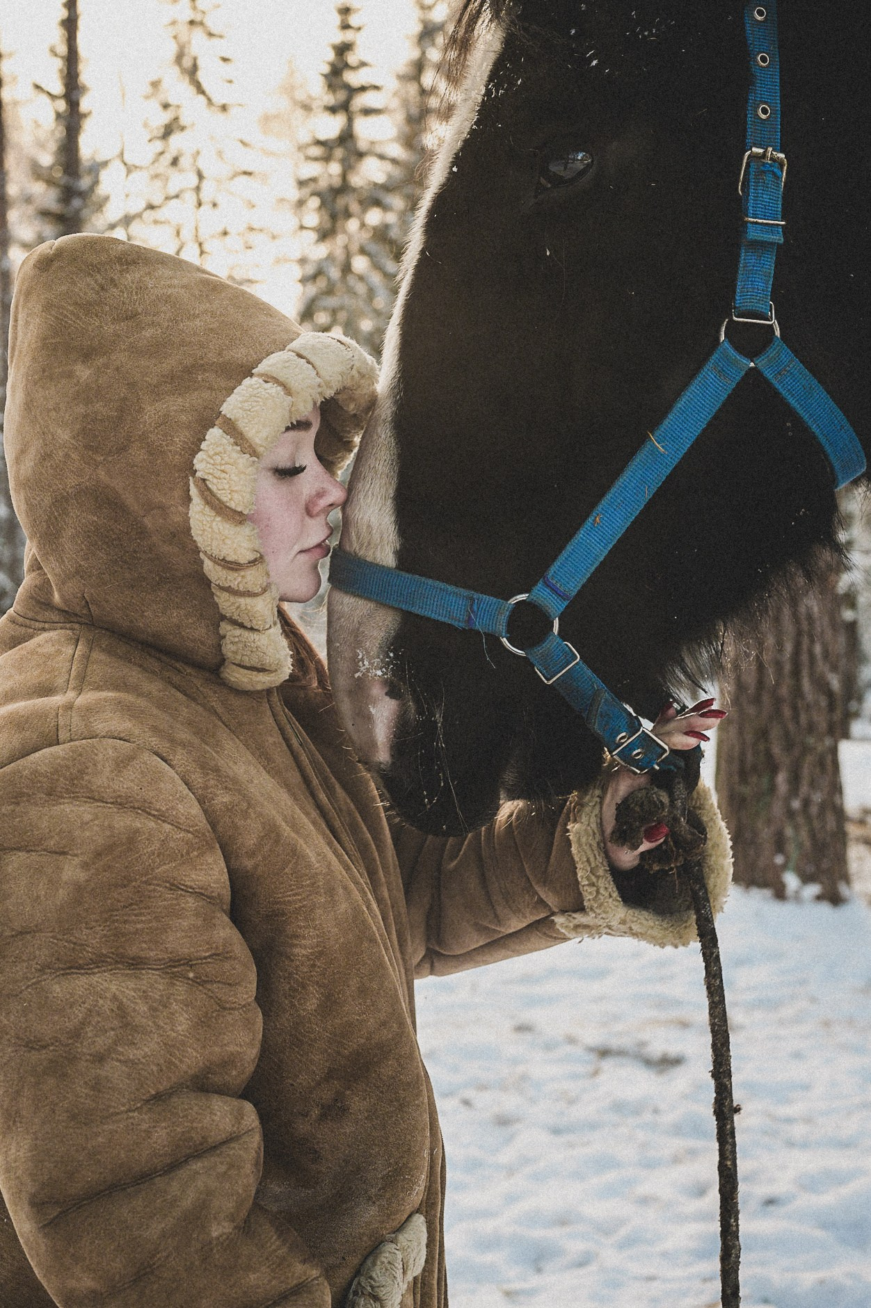 Конюшня. Репортажный фотограф в Санкт-Петербурге Диана Ларченкова