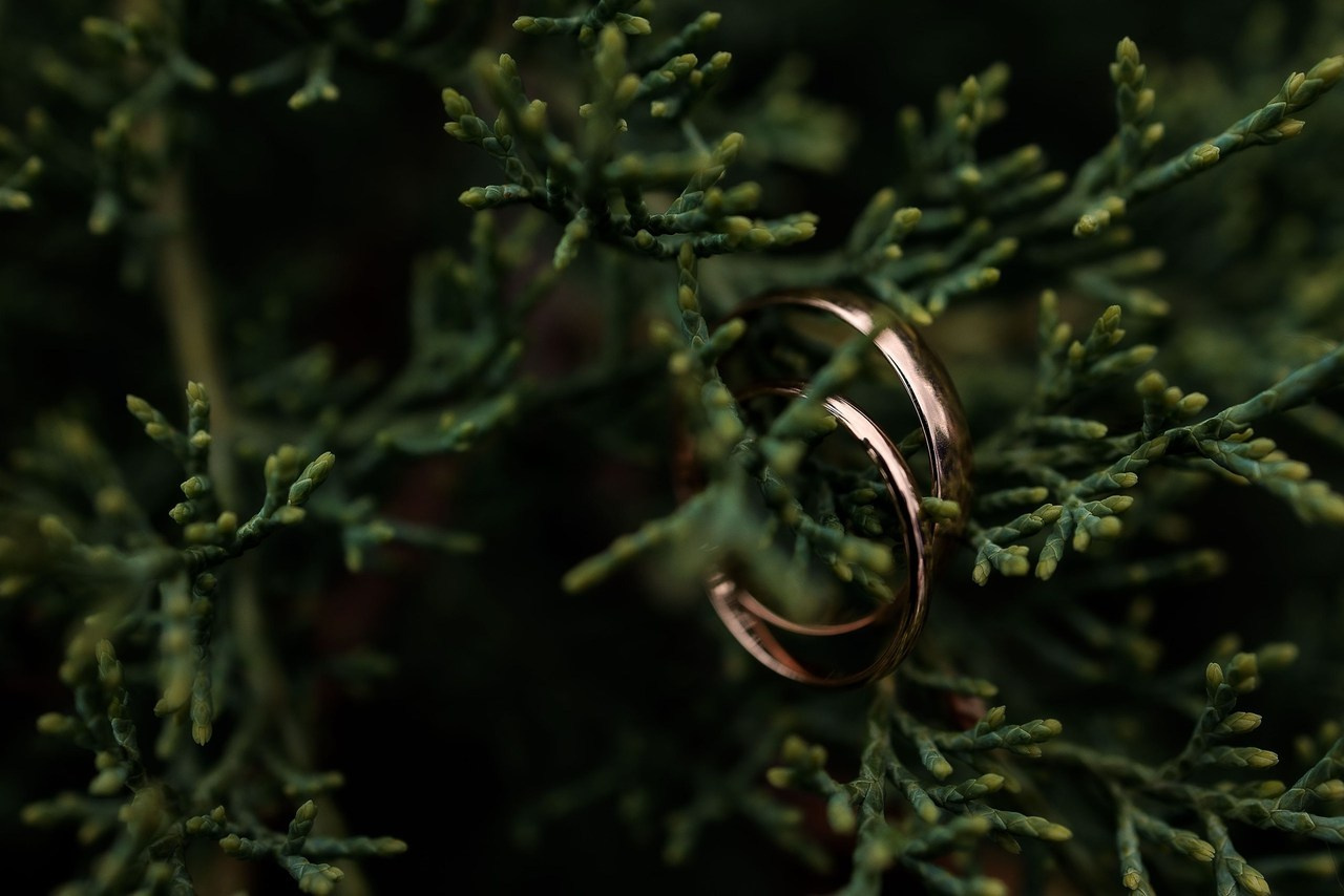 Фотограф Николай Козерин — отзывы клиентов. Фотограф в Ярославле и Рыбинске — Николай Козерин